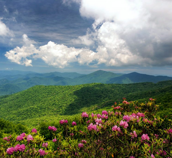 Craggy Gardens - on the Blue Ridge Parkway in North Carolina